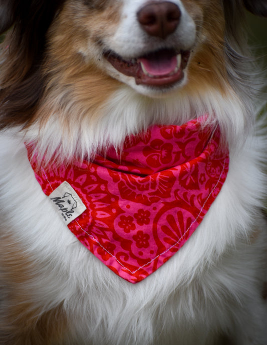 Indian Paintbrush Bandana