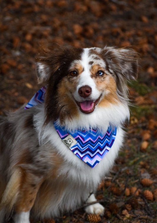 Glacier Ridge Bandana
