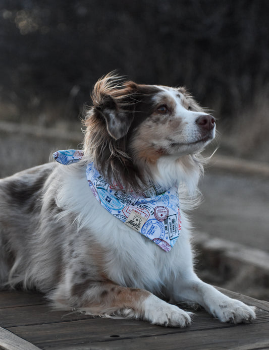 Maple's Passport Bandana