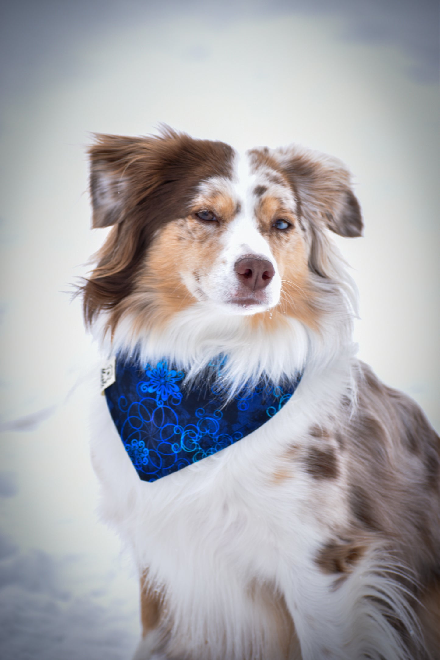 Big Sky Bandana