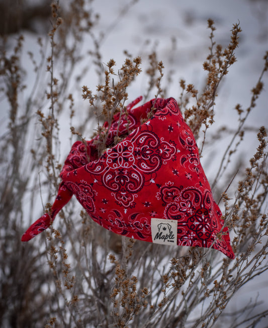Red Summit Bandana