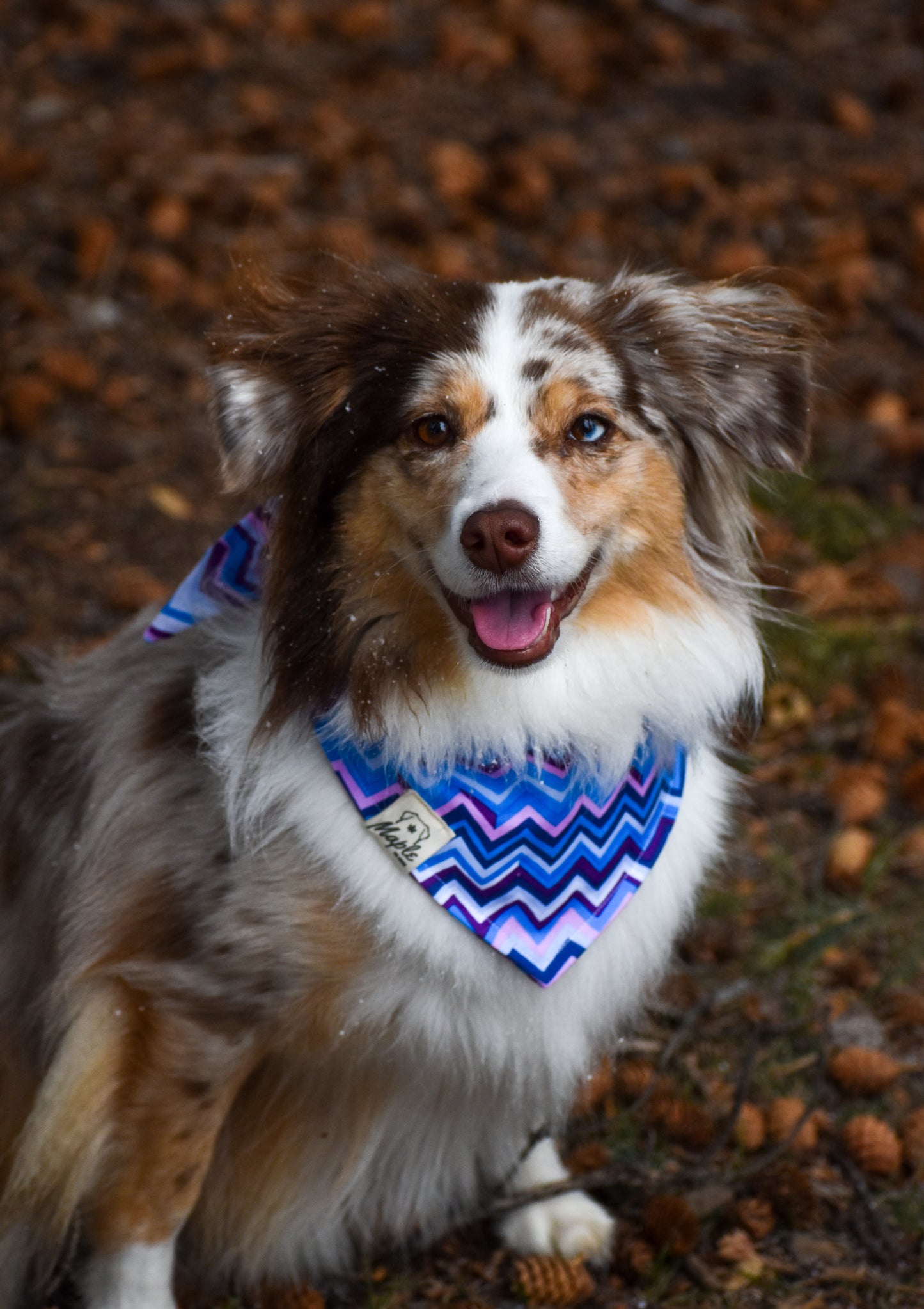 Glacier Ridge Bandana