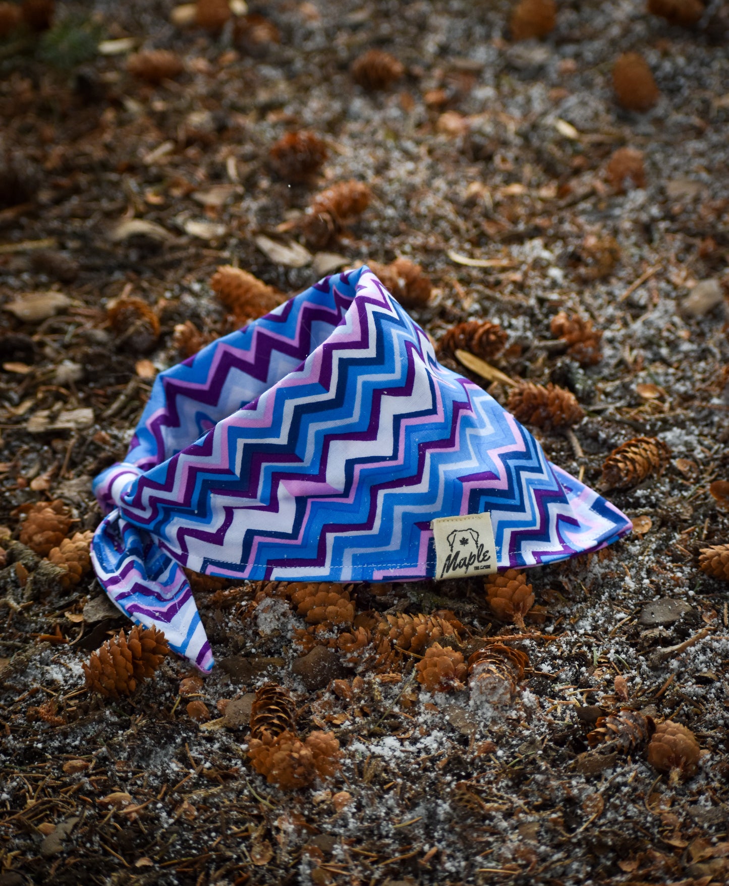 Glacier Ridge Bandana