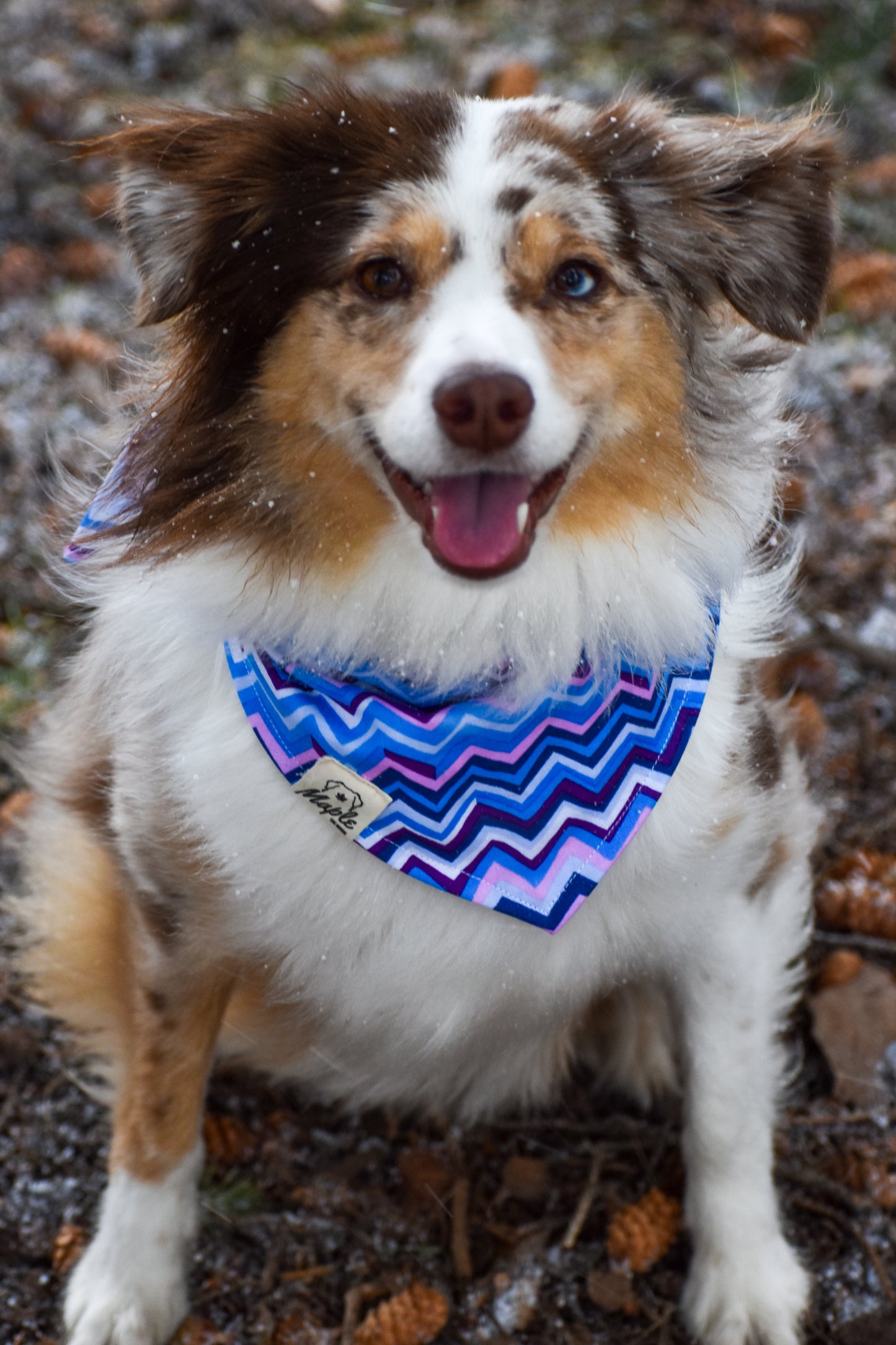Glacier Ridge Bandana