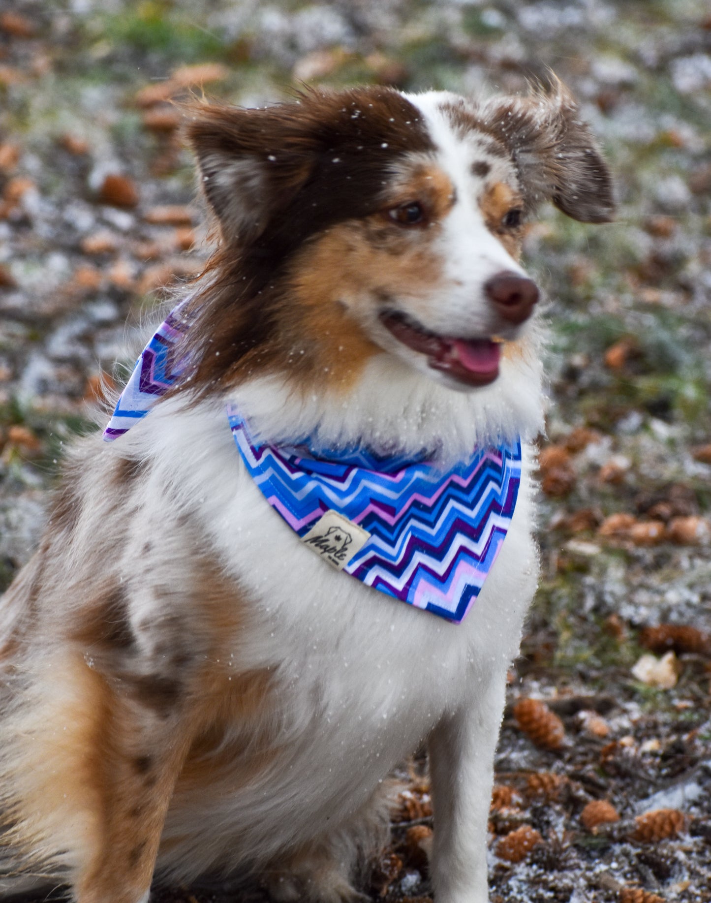 Glacier Ridge Bandana