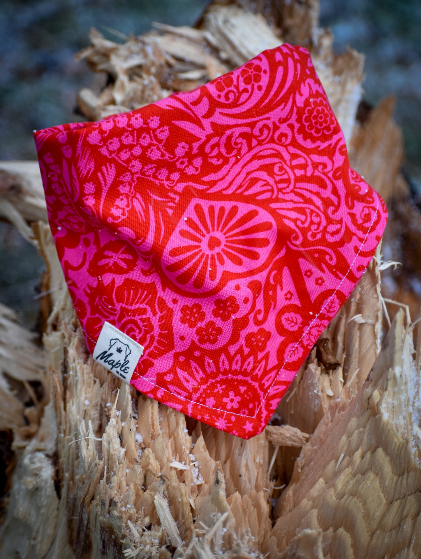 Indian Paintbrush Bandana