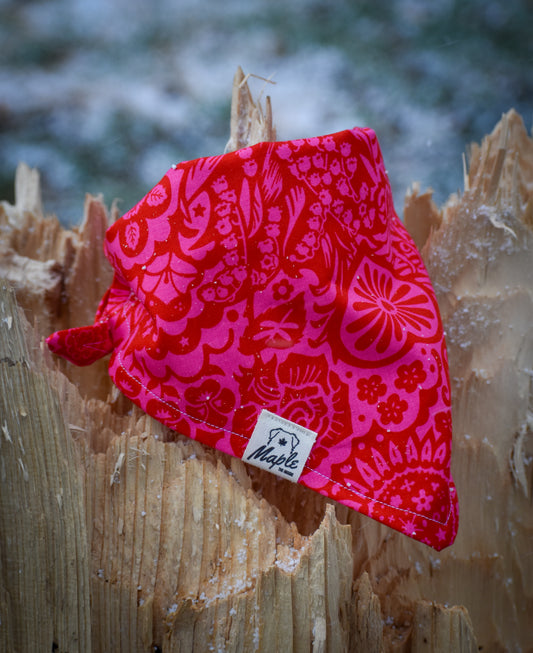 Indian Paintbrush Bandana