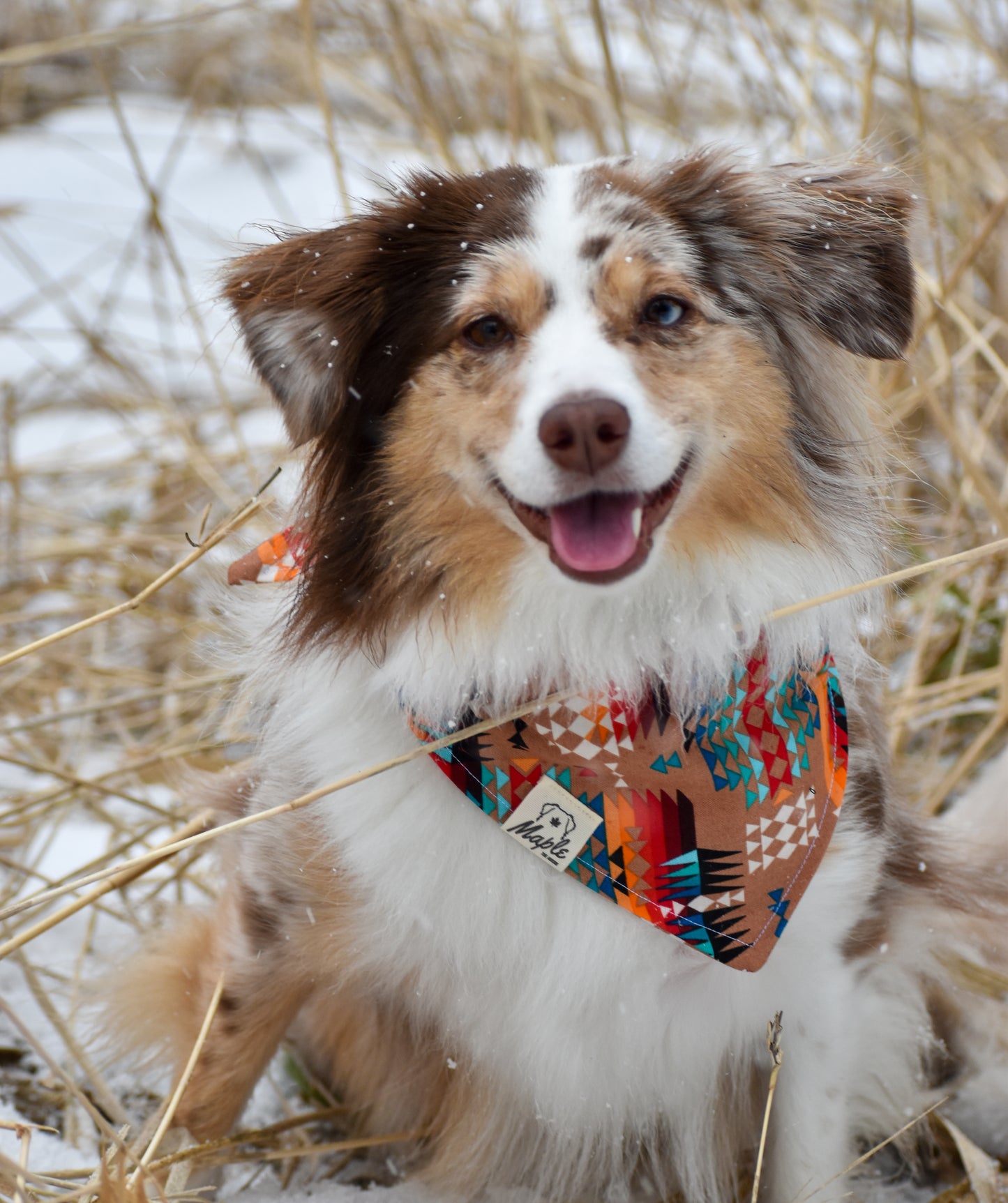 Desert Trails Bandana