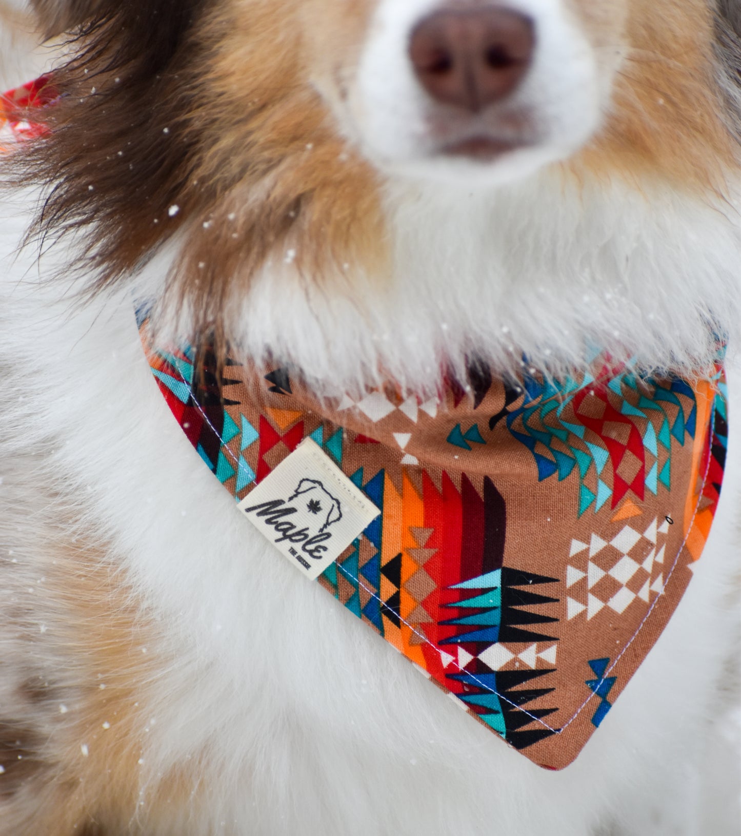 Desert Trails Bandana