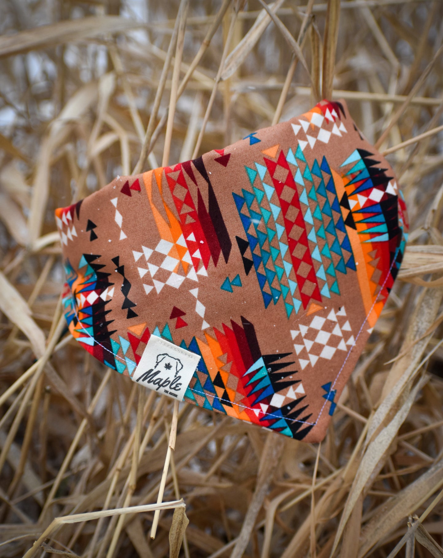 Desert Trails Bandana