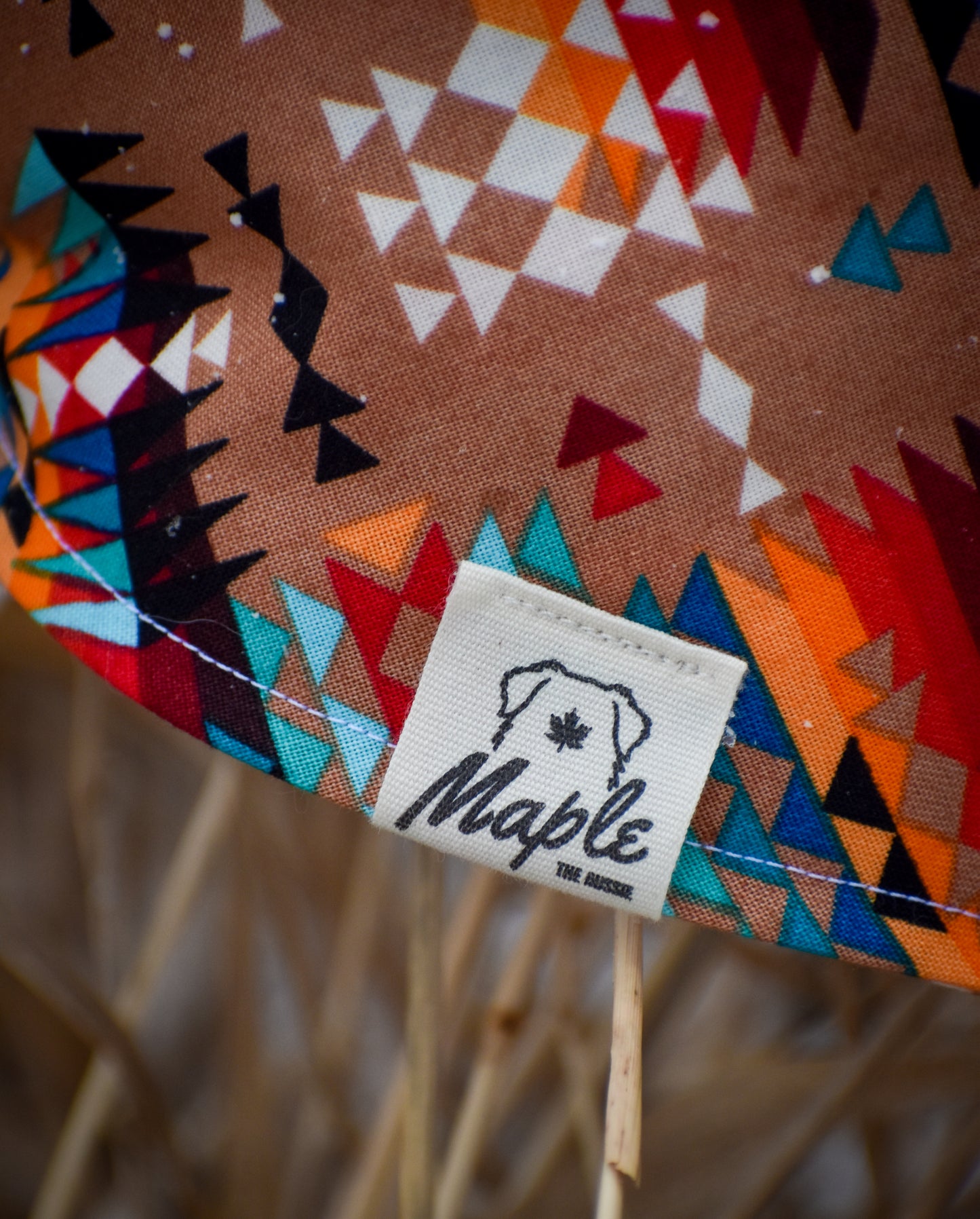 Desert Trails Bandana