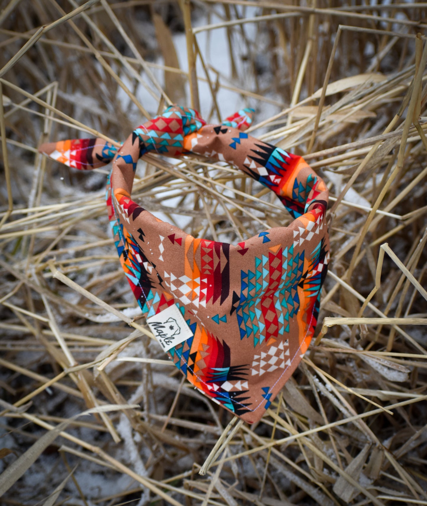 Desert Trails Bandana