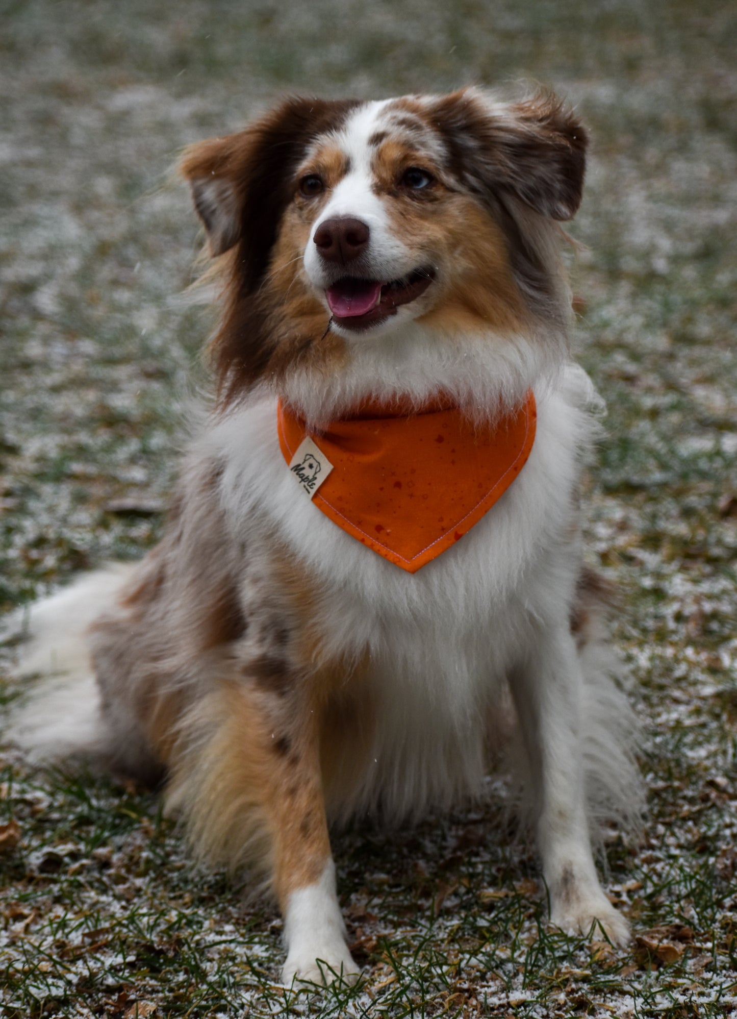 Ember Trail Bandana