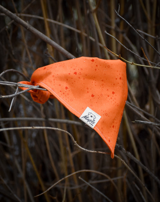 Ember Trail Bandana