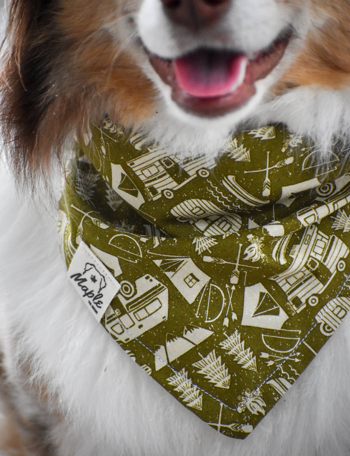 Forest Camping Bandana