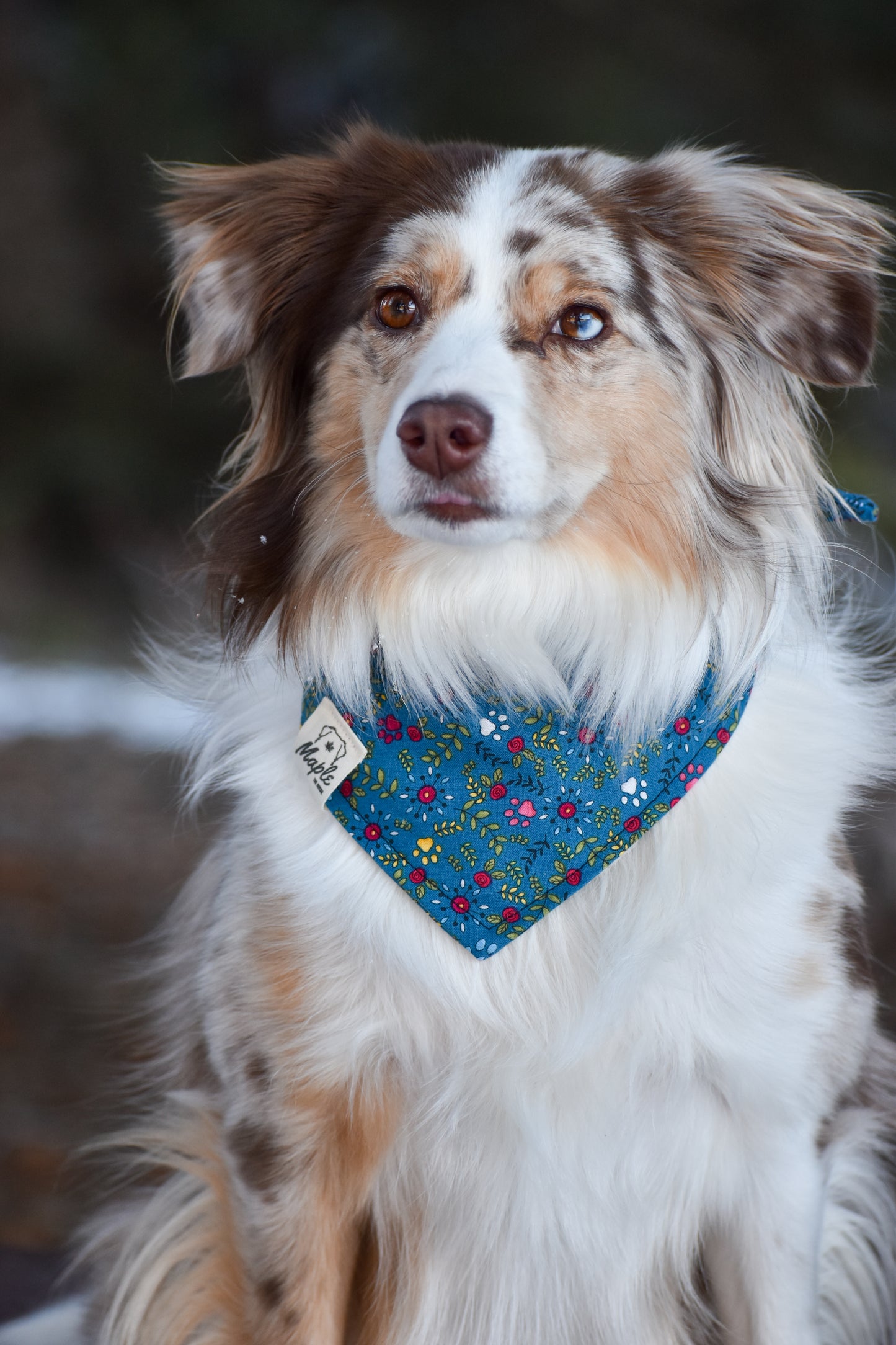 Wildflower Path Bandana