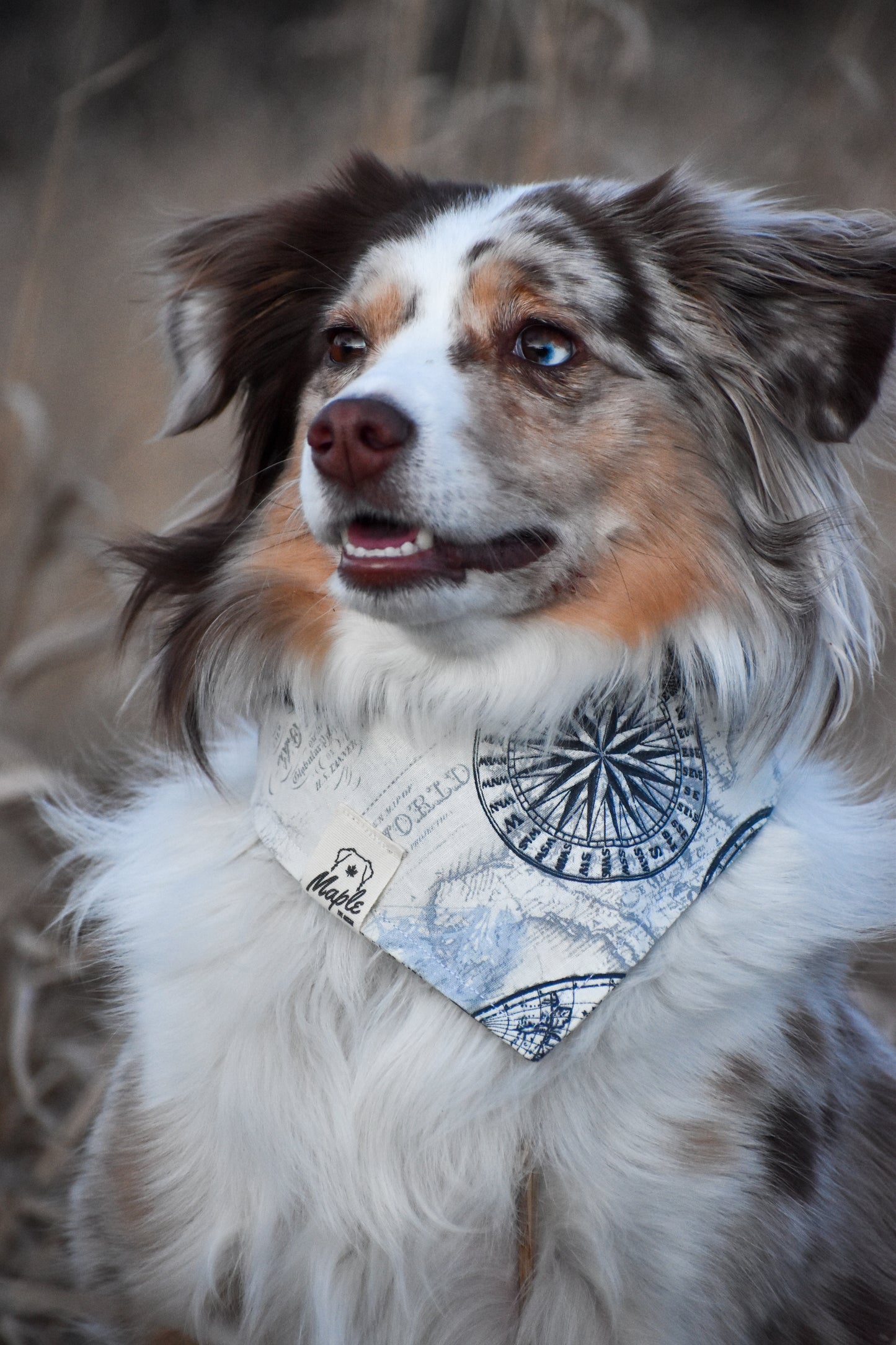 Trail Navigator Bandana