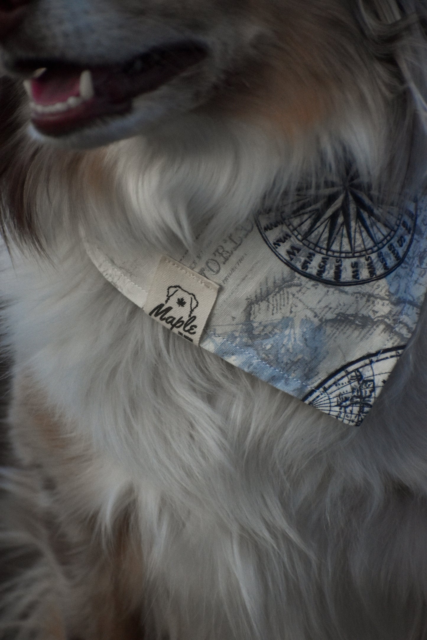 Trail Navigator Bandana