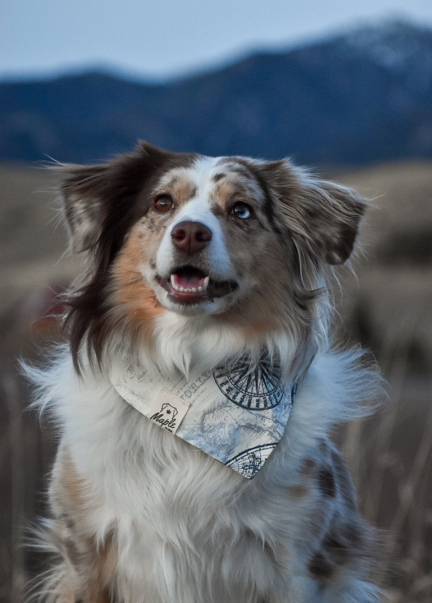 Trail Navigator Bandana