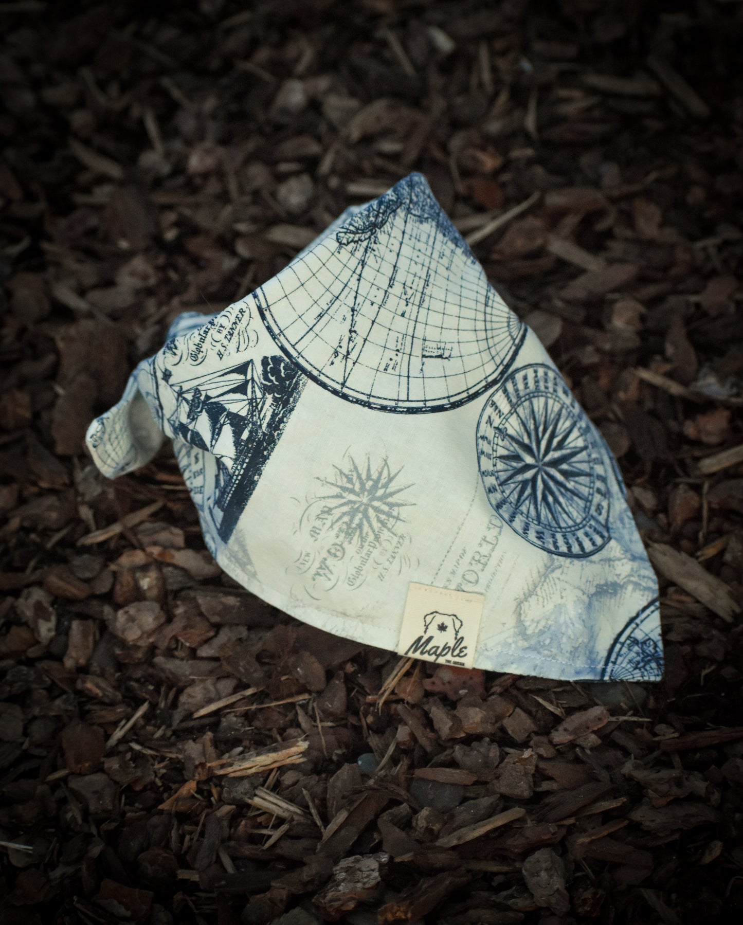 Trail Navigator Bandana