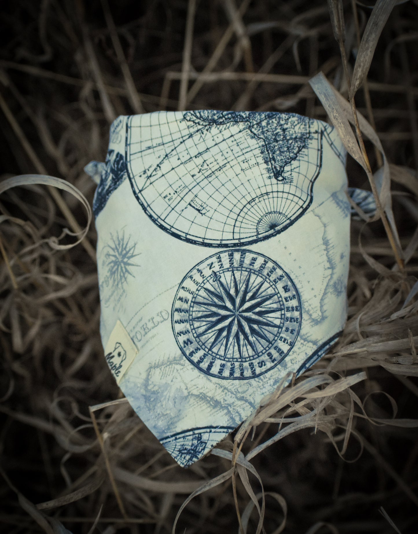 Trail Navigator Bandana