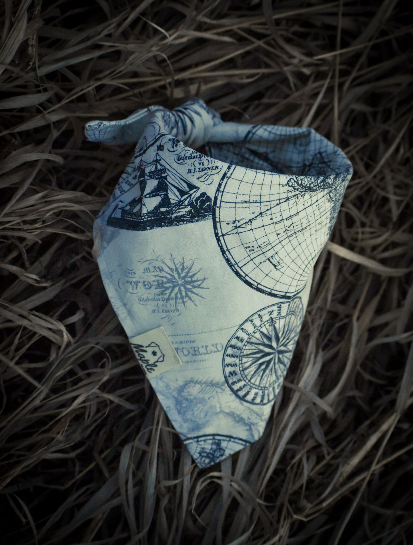 Trail Navigator Bandana