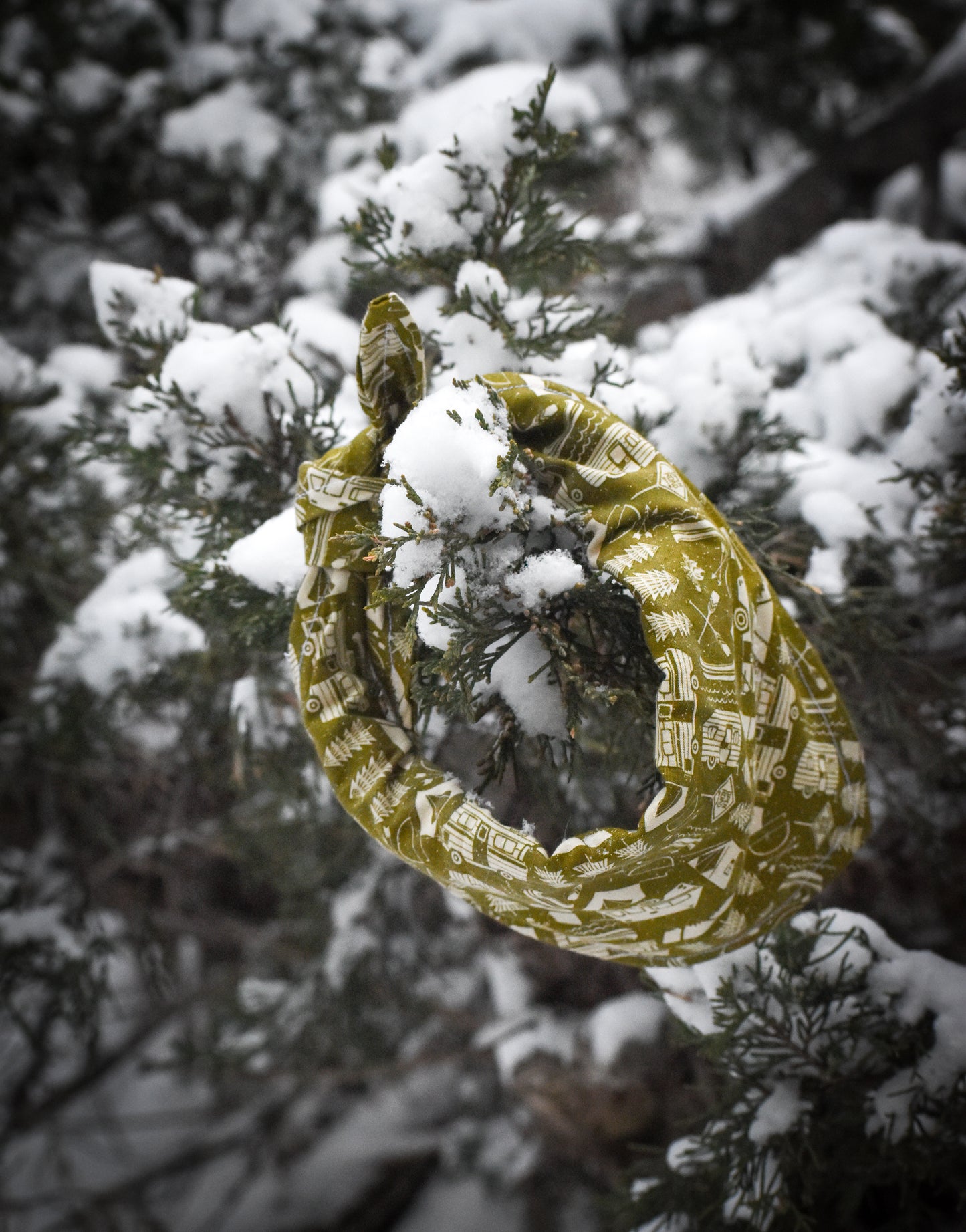 Forest Camping Bandana