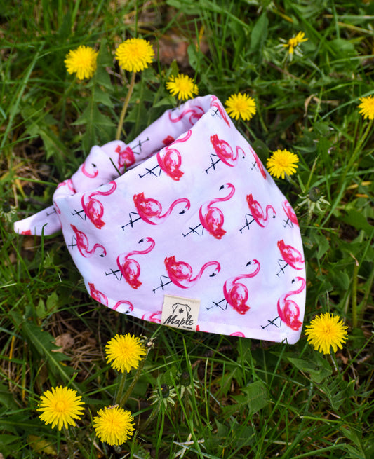 Blush Expedition Bandana