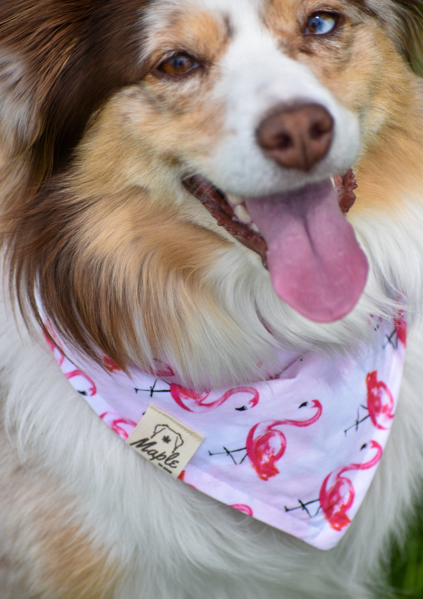 Blush Expedition Bandana