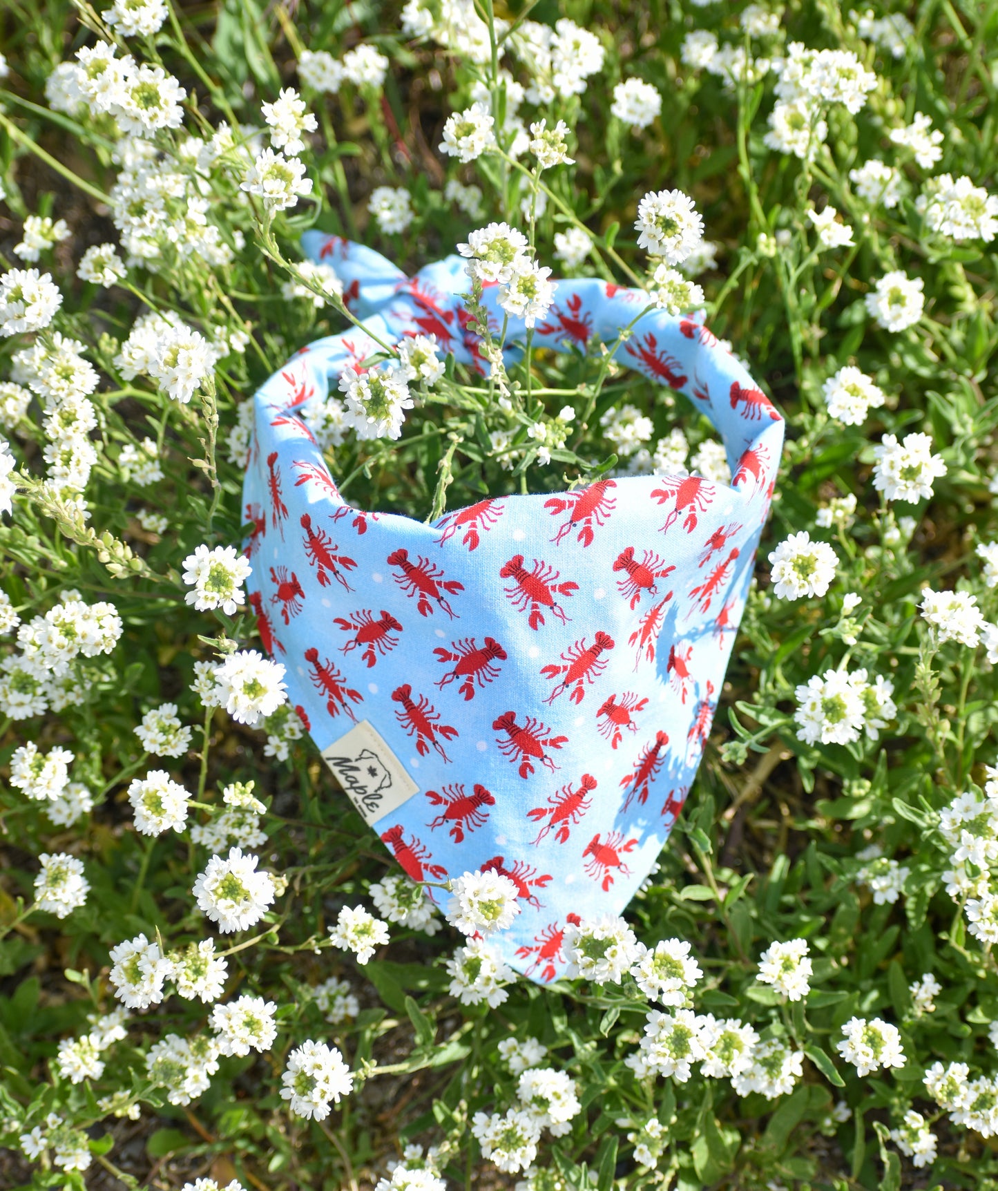 Coastal Explorer Bandana