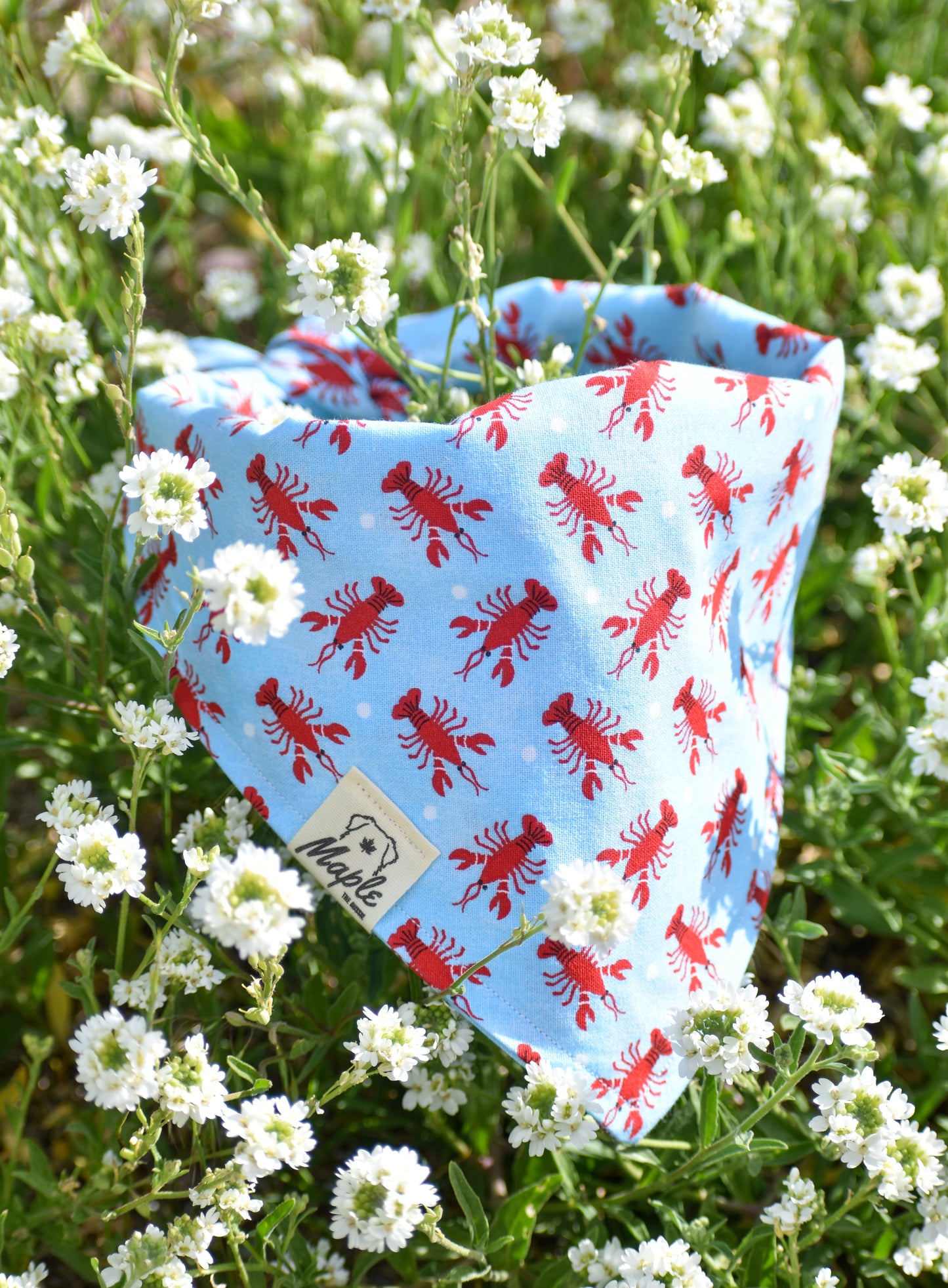 Coastal Explorer Bandana
