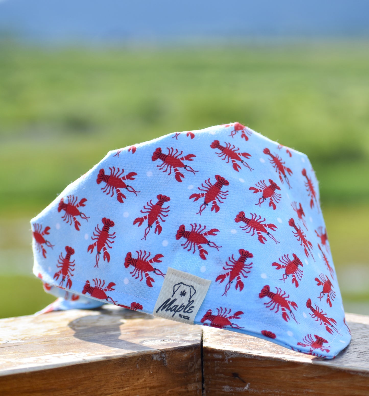 Coastal Explorer Bandana