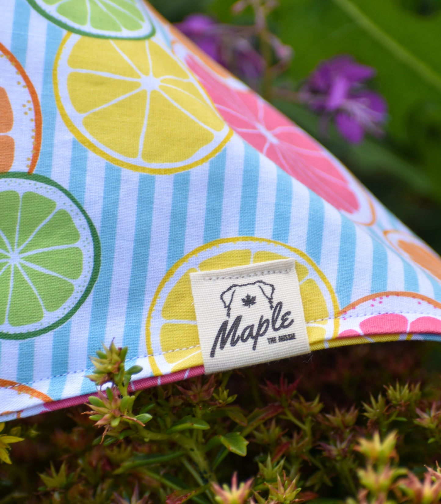 Summer Picnic Bandana