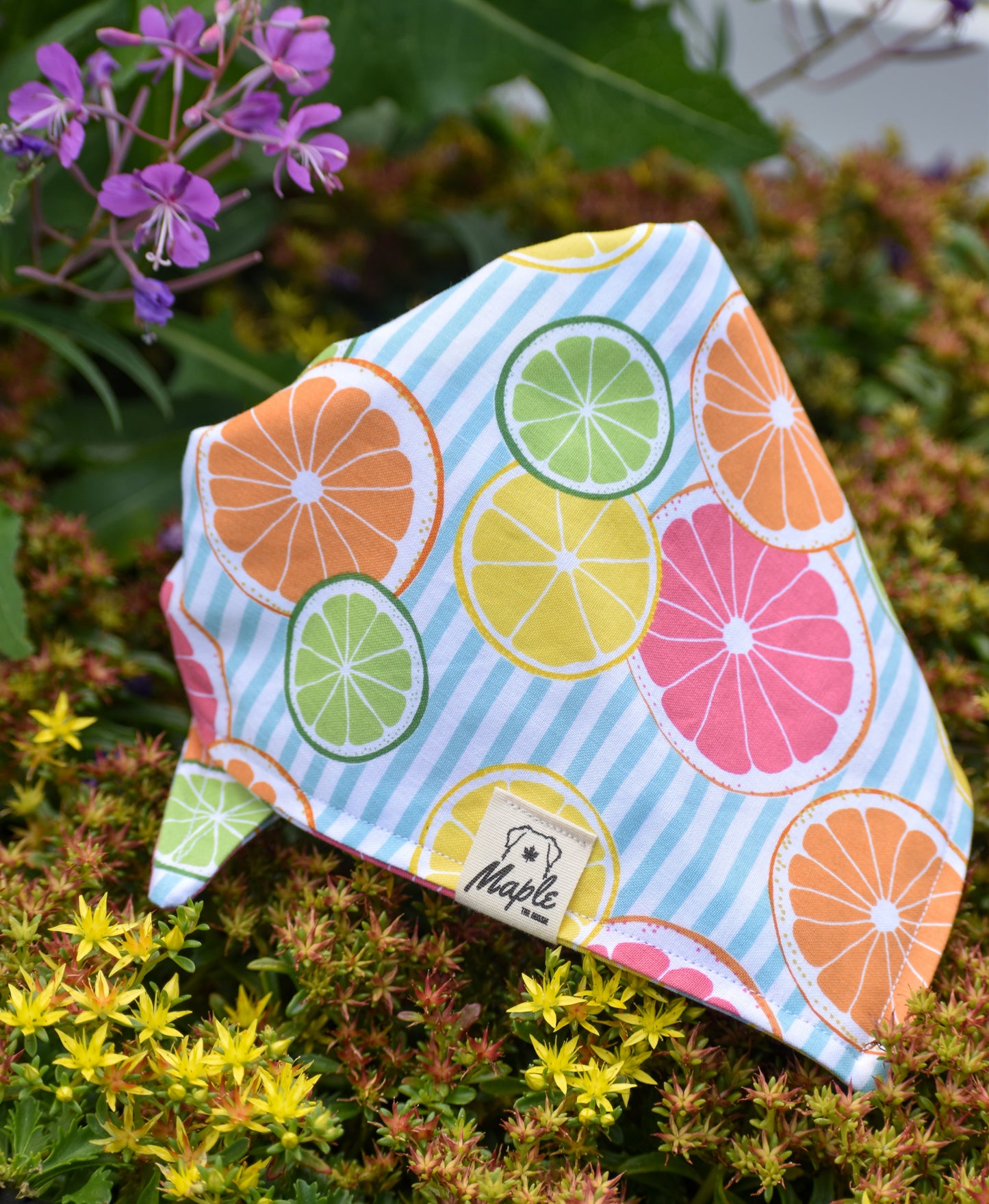 Summer Picnic Bandana