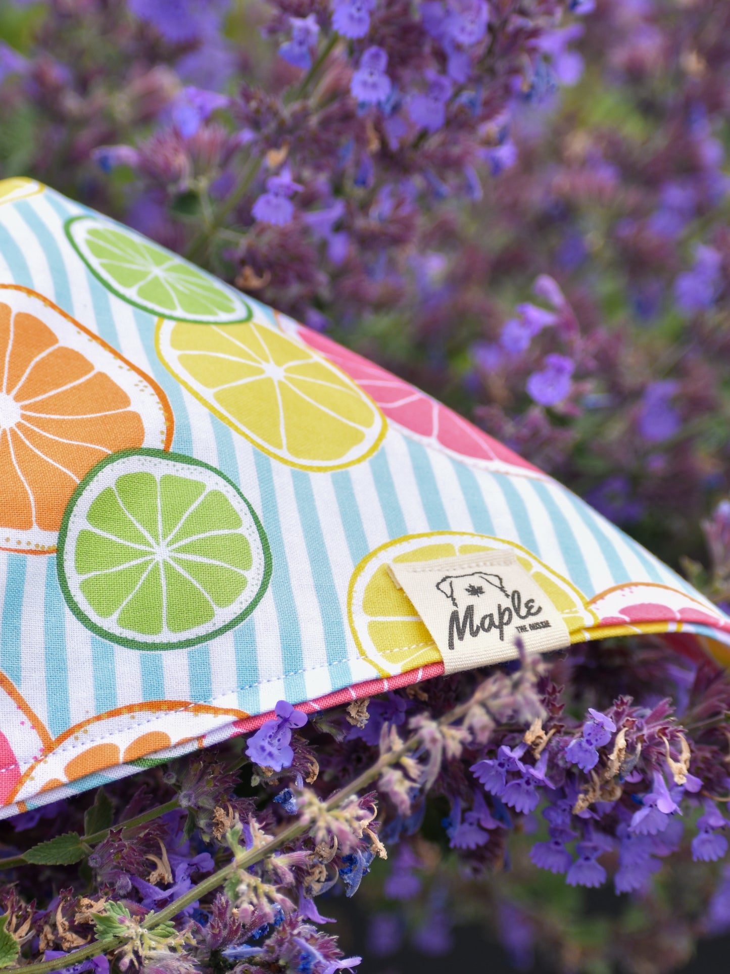 Summer Picnic Bandana