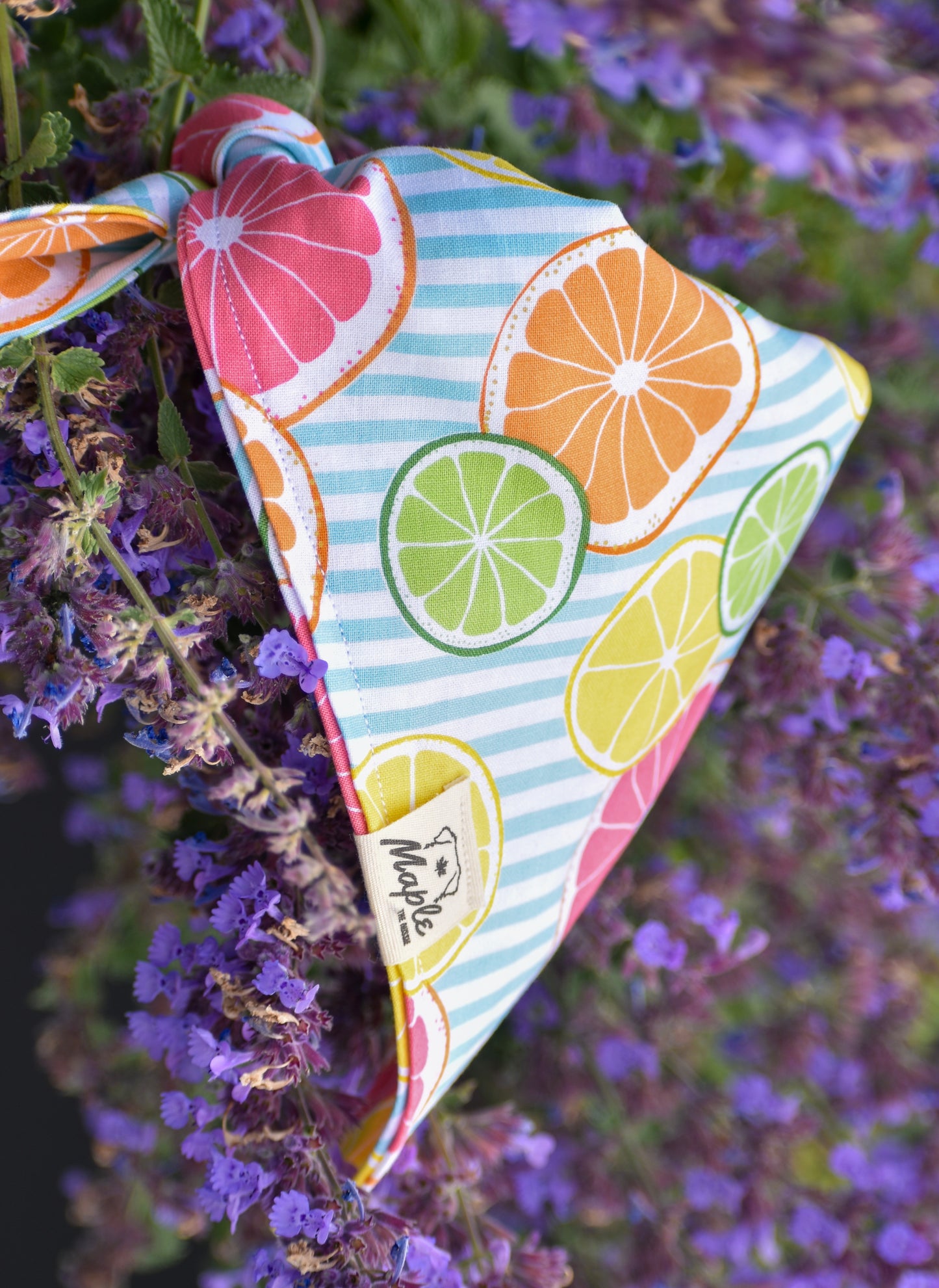 Summer Picnic Bandana