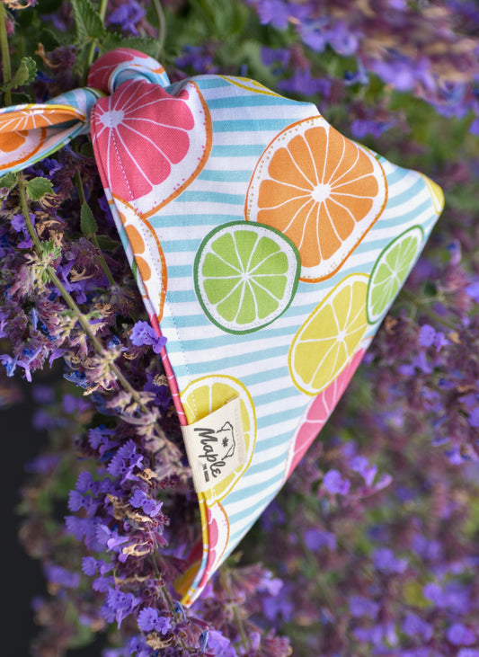 Summer Picnic Bandana