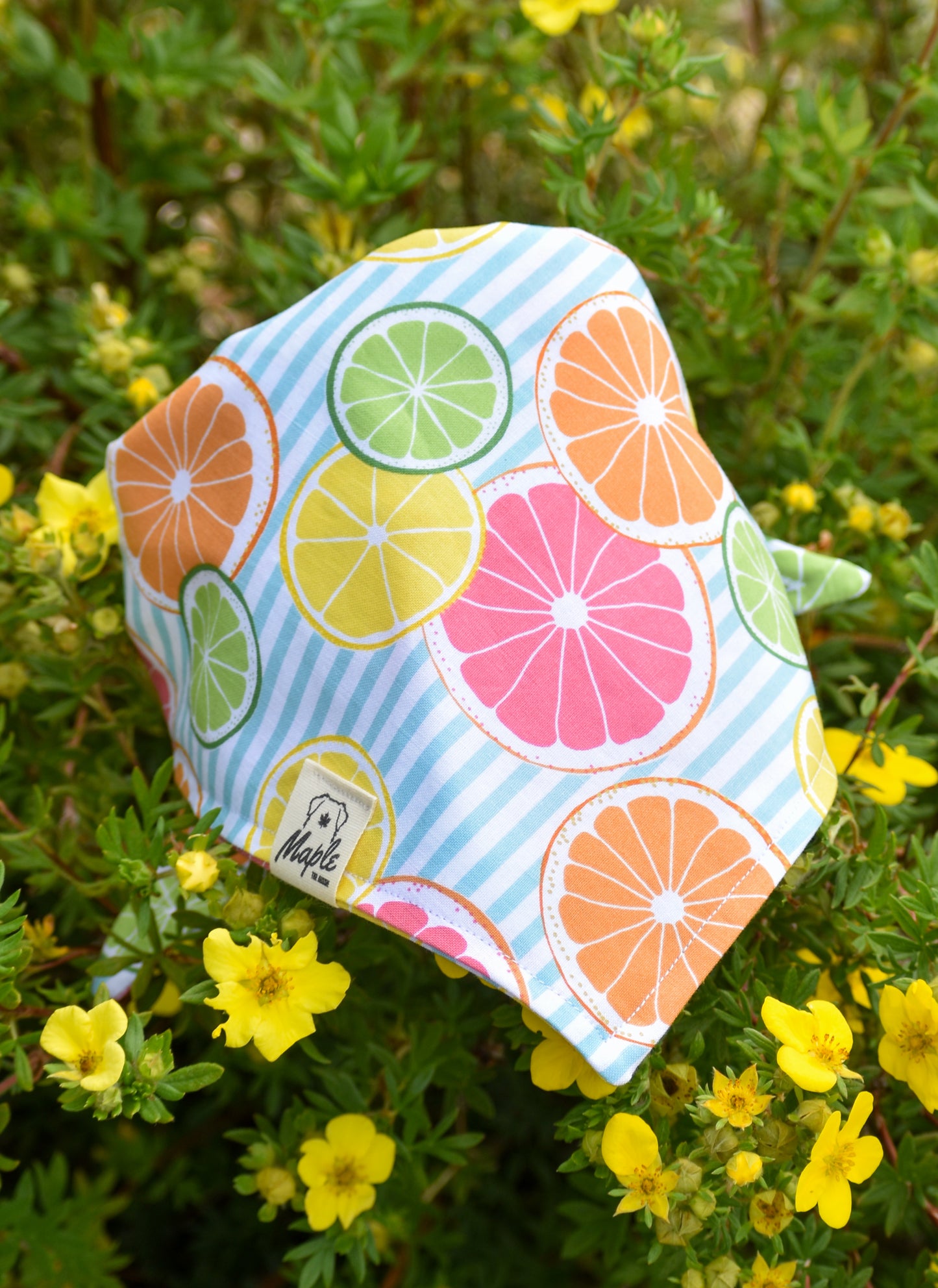 Summer Picnic Bandana