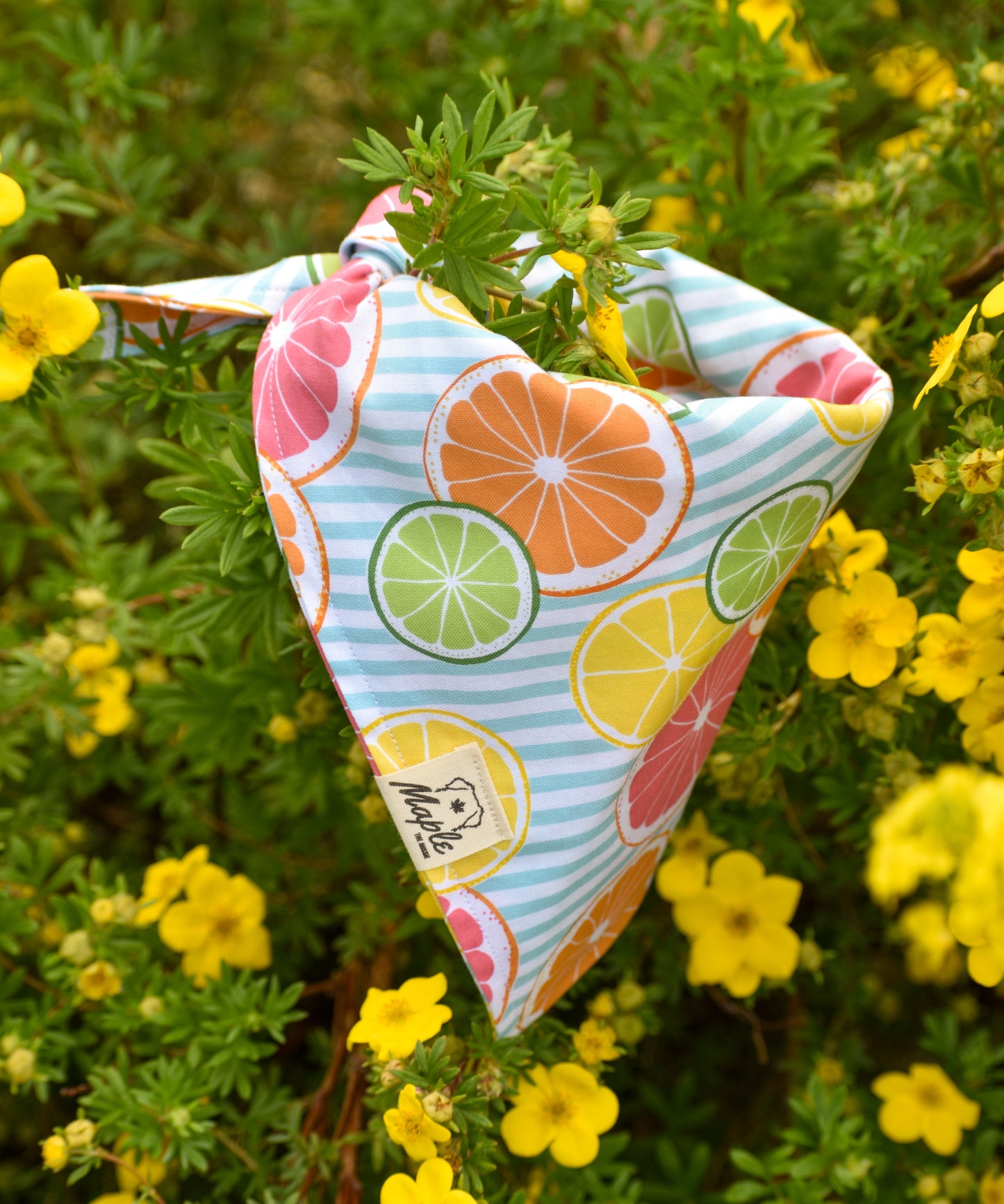 Summer Picnic Bandana