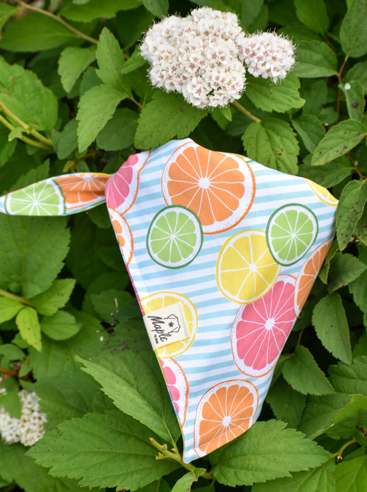 Summer Picnic Bandana