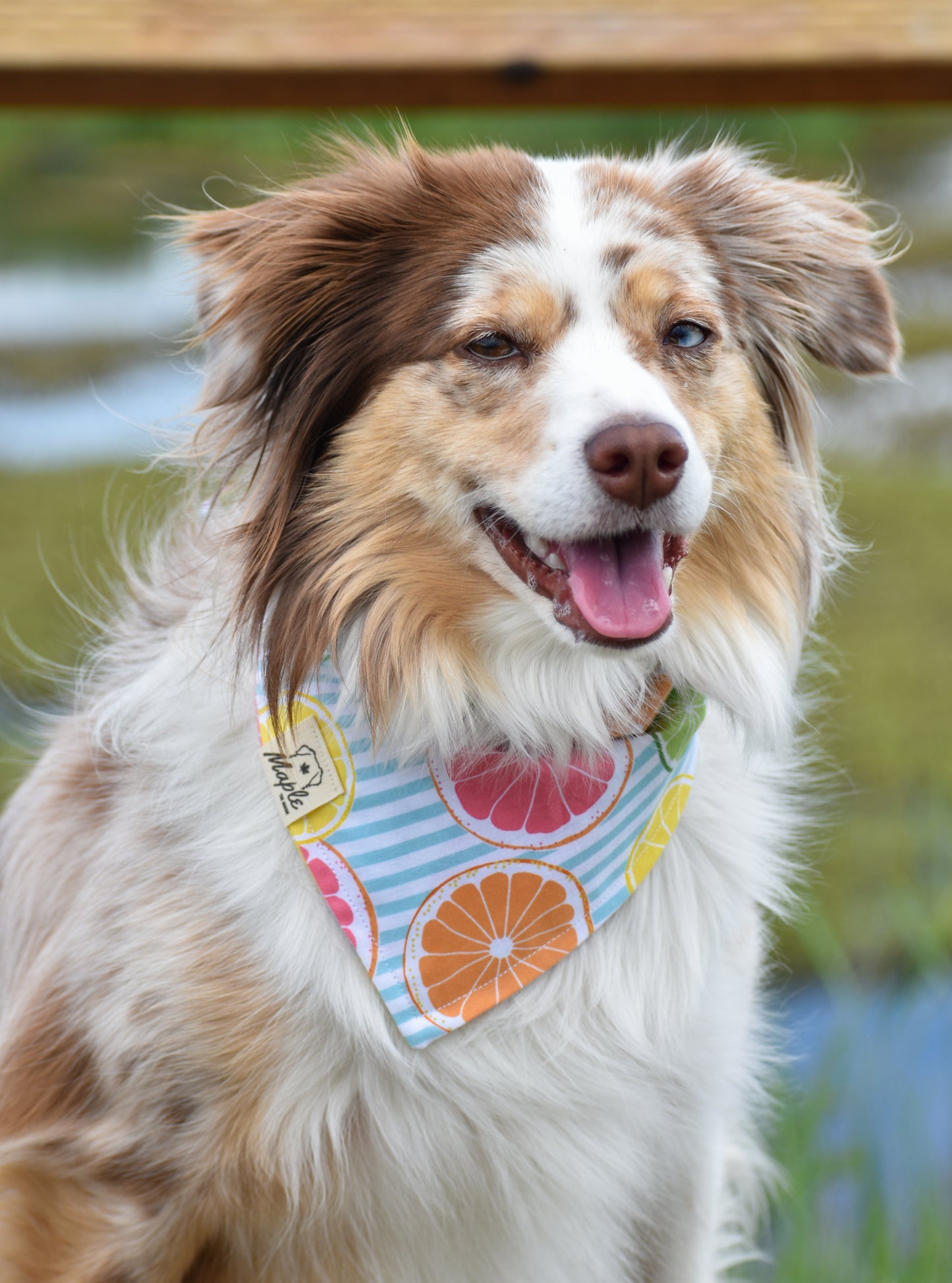 Summer Picnic Bandana