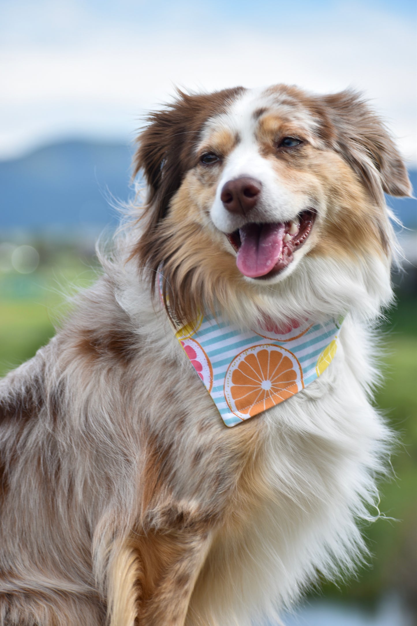 Summer Picnic Bandana