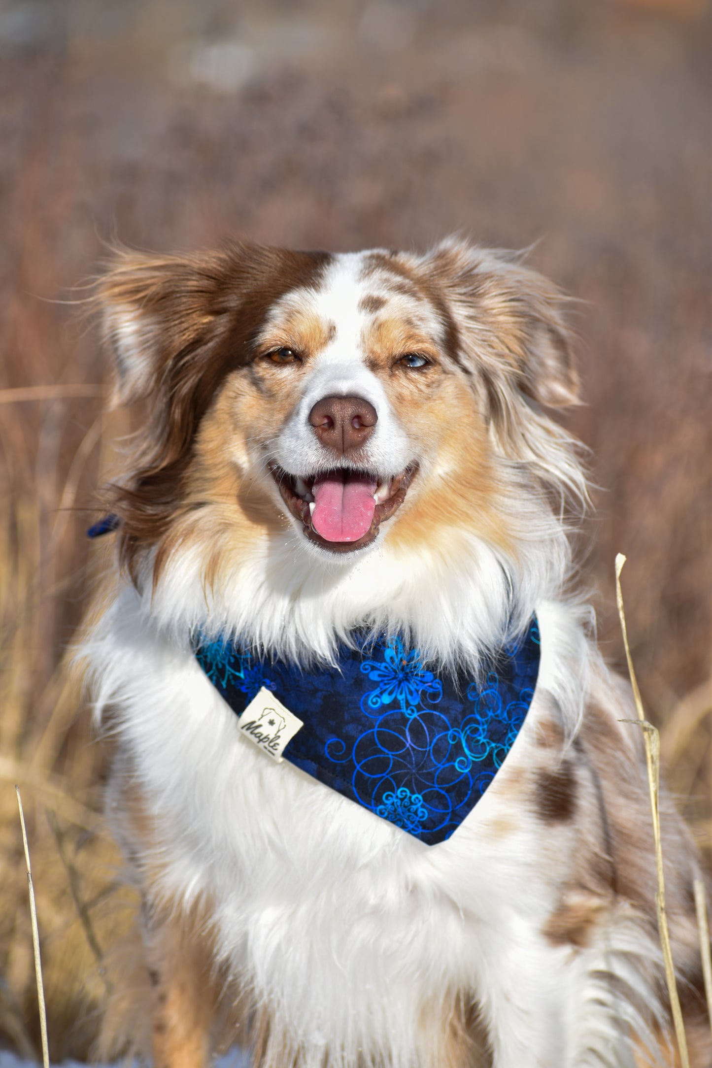 Big Sky Bandana